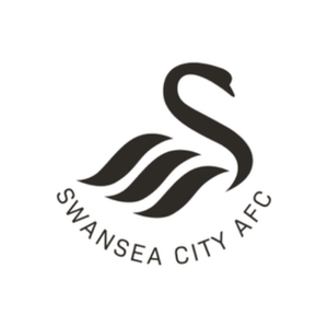 Swansea City AFC